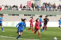 金年会官网入口-丹麦女足队员荣膺最佳进球奖项实力不容小觑的简单介绍